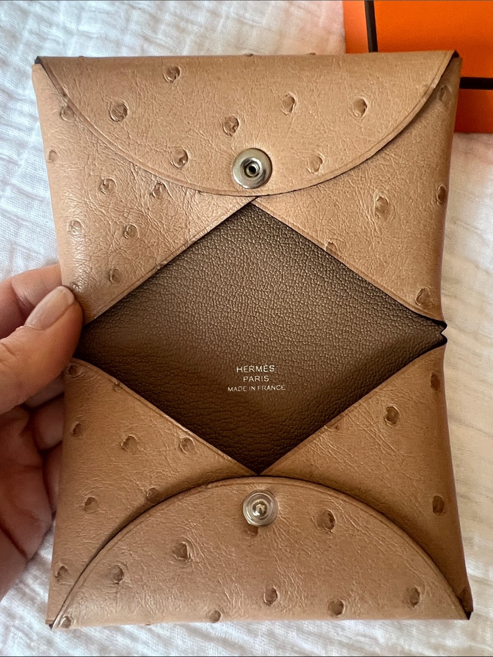 Hermes ostrich Calvi